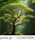 霧に包まれるブナの木「AI生成」 112483806
