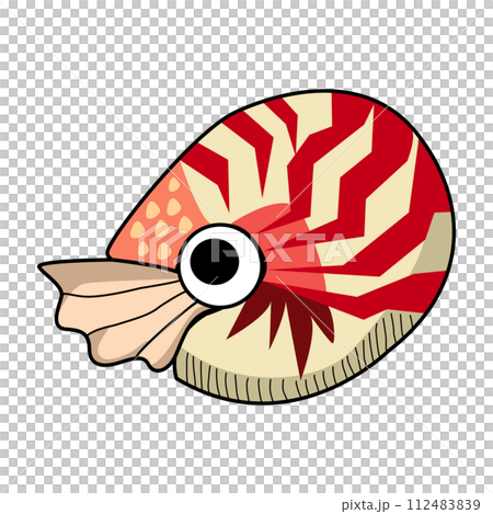 Cartoon Nautilus pompilius illustration isolated on white background 112483839