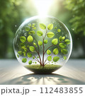 太陽に照らされる若葉「AI生成」 112483855