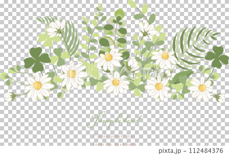 natural plant frame material 112484376