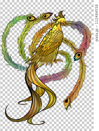 bright phoenix bright phoenix 112484558