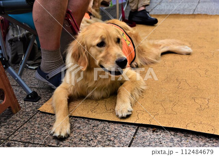 足元に座る盲導犬 112484679