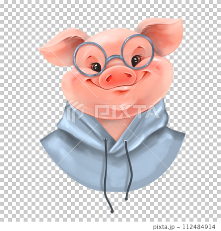 Cute pig in glasses and hoody. Piglet illustration Cute pig in glasses and hoody. Piglet illustration 112484914