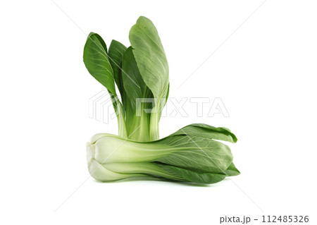 Pak choi type of Chinese cabbage isolated on white Pak choi type of Chinese cabbage isolated on white 112485326