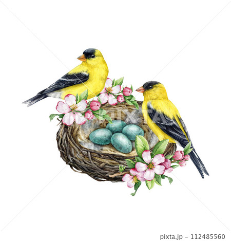 Goldfinch nest sales