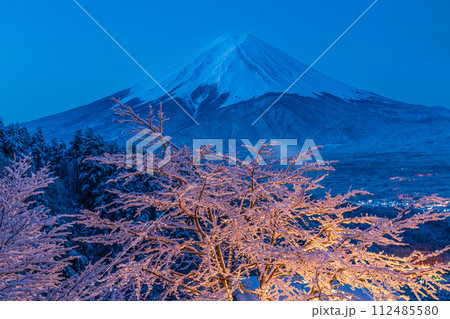 ライトアップされた樹氷と冠雪した富士山 ライトアップされた樹氷と冠雪した富士山 112485580