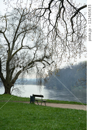 An outdoor bench under a tree by the river Elbe, surrounded by natural landscape An outdoor bench under a tree by the river Elbe, surrounded by natural landscape 112485635