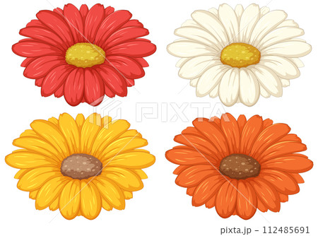 Colorful Daisy Collection Vector Illustration Colorful Daisy Collection Vector Illustration 112485691