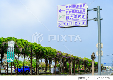 うららかな春風空を背景に藤の花トンネルロード出入口風景「八女鉄道記念公園のトンネル藤」(八女市) 112486660