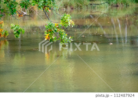 Over Water Whispers: Oak Branch Reflections Over Water Whispers: Oak Branch Reflections 112487924