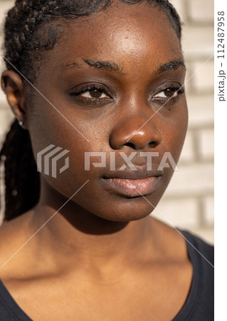 Sunlit African Woman with Braided Hair Sunlit African Woman with Braided Hair 112487958