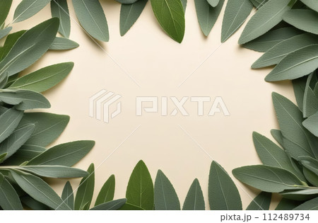 Sage Leaves Frame with Blank Beige Copy Space in Center. Fresh Green Herbs Background. Lush Greenery Arranged Flat, Perfect Design for Notes about Culinary, Wellness, and Eco-friendly. Creative layout 112489734