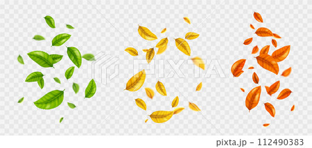 Color foliage swirls set on transparent background 112490383