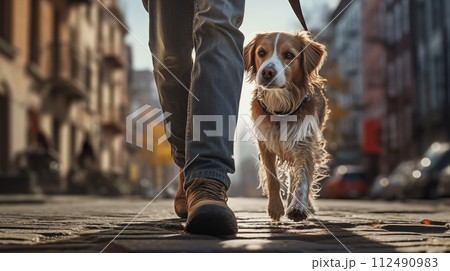 AI-generated content. Legs of Person strolling with a companion dog on a leash along city sidewalk 112490983