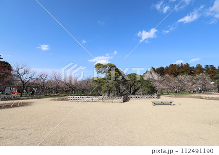 偕楽園,茨城県水戸市 112491190