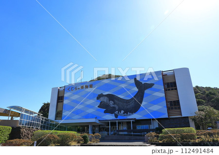 太地町立くじらの博物館 112491484