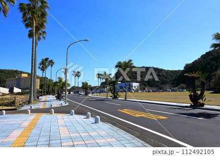 フェニックス通りと太地町立くじらの博物館 112492105