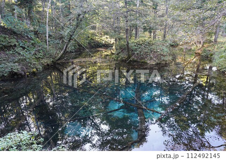 蒼い神秘の神の子池 蒼い神秘の神の子池 112492145