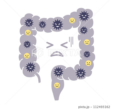 不健康な腸内環境 医療イラスト 不健康な腸内環境 医療イラスト 112493162