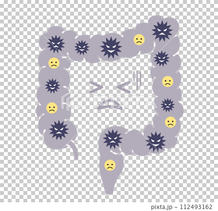 不健康な腸内環境 医療イラスト 不健康な腸内環境 医療イラスト 112493162