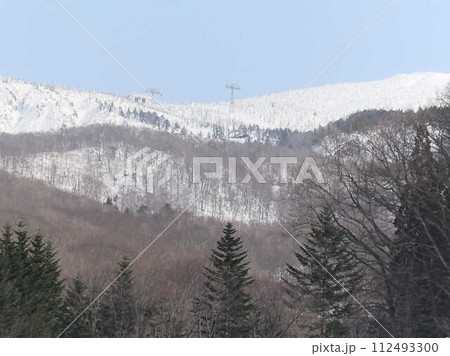 蔵王 蔵王温泉スキー場 地蔵山頂 樹氷原 樹氷 霧氷 蔵王 蔵王温泉スキー場 地蔵山頂 樹氷原 樹氷 霧氷 112493300
