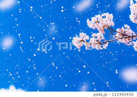 【桜吹雪素材】桜と青空と桜吹雪イメージ・水彩画調【長野県】 【桜吹雪素材】桜と青空と桜吹雪イメージ・水彩画調【長野県】 112493450