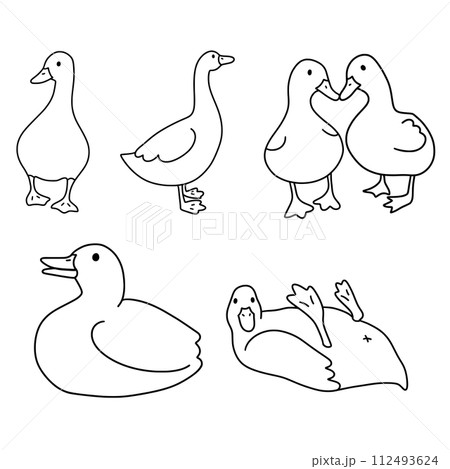 set of ducks line drawing png 112493624