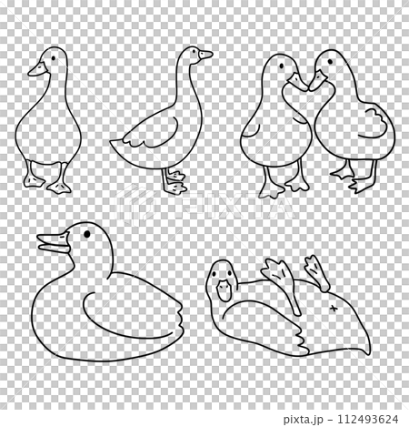 set of ducks line drawing png 112493624