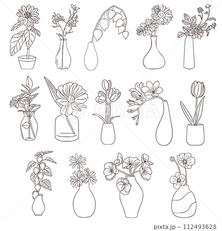 sketch of plant in vintage style, set of flowers minimal line drawing png 112493628