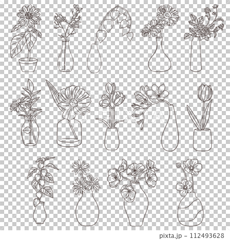 sketch of plant in vintage style, set of flowers minimal line drawing png 112493628