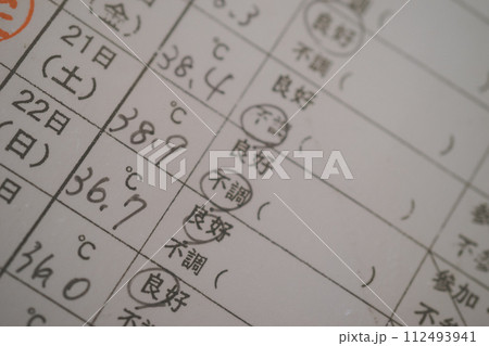 検温表 112493941
