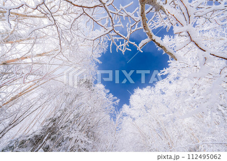 【霧氷素材】白と青の世界・霧氷と青空【長野県】 112495062