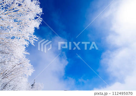 【霧氷素材】白と青の世界・霧氷と青空【長野県】 112495070