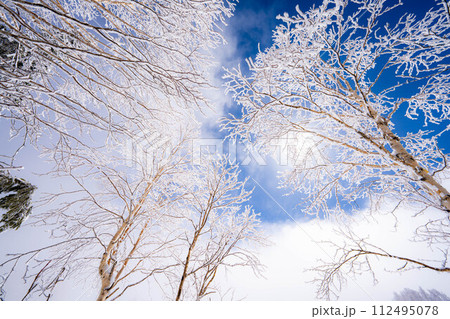 【霧氷素材】白と青の世界・霧氷と青空【長野県】 【霧氷素材】白と青の世界・霧氷と青空【長野県】 112495078