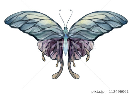 Hand drawn watercolor illustration butterfly fairy wings gem crystal insect moth. Amethyst opal moonstone fluorite pearl. Single object isolated white background. Design print, shop, wedding, birthday 112496061