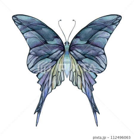 Hand drawn watercolor illustration butterfly fairy wings gem crystal insect moth. Amethyst opal moonstone fluorite pearl. Single object isolated white background. Design print, shop, wedding, birthday 112496063