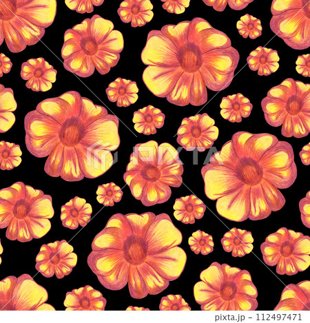 Marigold Flower Seamless Pattern. Floral Digital Paper. Marigold Flower Seamless Pattern. Floral Digital Paper. 112497471