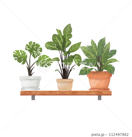 House plant in pot on shelf for decorations. 112497862