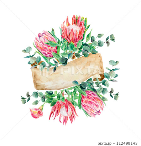 Protea watercolor, eucalyptus branch, banner for text. Vector illustration of pink flowers. Cards, wedding invitations, banners, labels, flyers. 112499145