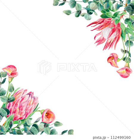 Protea watercolor, eucalyptus branches, calla lilies, frame. Vector illustration of pink flowers. Cards, wedding invitations, banners, covers, labels. Protea watercolor, eucalyptus branches, calla lilies, frame. Vector illustration of pink flowers. Cards, wedding invitations, banners, covers, labels. 112499160