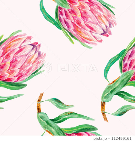 Protea watercolor, pattern. Vector illustration of pink flowers. Design element for wrapping paper, textile, wallpaper, fabric, cover, scrapbooking. Protea watercolor, pattern. Vector illustration of pink flowers. Design element for wrapping paper, textile, wallpaper, fabric, cover, scrapbooking. 112499161