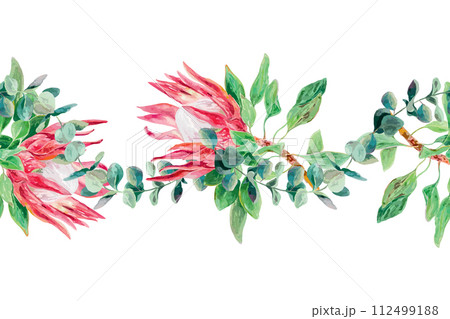 Protea watercolor, eucalyptus branch, seamless border, horizontal. Vector illustration of pink flowers. Cards, wedding invitations, labels, ribbons. Protea watercolor, eucalyptus branch, seamless border, horizontal. Vector illustration of pink flowers. Cards, wedding invitations, labels, ribbons. 112499188