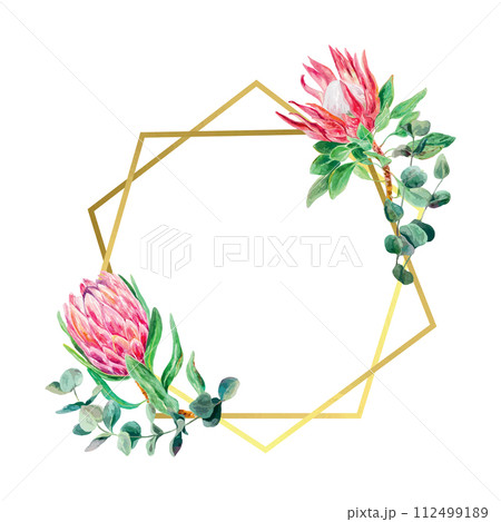 Protea watercolor, eucalyptus branch, gold frame. Vector illustration of pink flowers. Cards, wedding invitations, banners, covers, labels, flyers. Protea watercolor, eucalyptus branch, gold frame. Vector illustration of pink flowers. Cards, wedding invitations, banners, covers, labels, flyers. 112499189