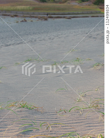 秋の夕照に照らされた中田島砂丘の砂紋 112499834