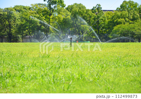 スプリンクラーによる芝生への水やり(大阪城 西の丸庭園にて) スプリンクラーによる芝生への水やり(大阪城 西の丸庭園にて) 112499873