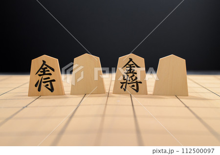 金将のいろいろな彫り駒 112500097