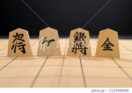 銀将と成銀のいろいろな彫り駒 112500098