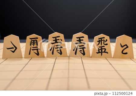 将棋の彫り駒 将棋の彫り駒 112500124