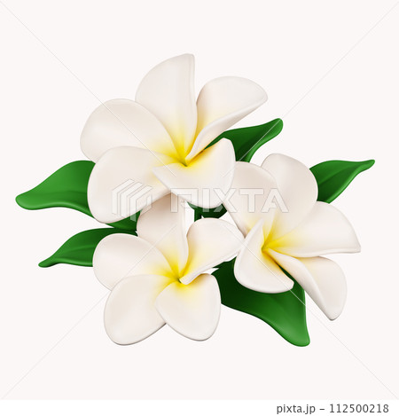3d frangipani flowers .icon isolated on white background. 3d rendering illustration. Clipping path. 112500218