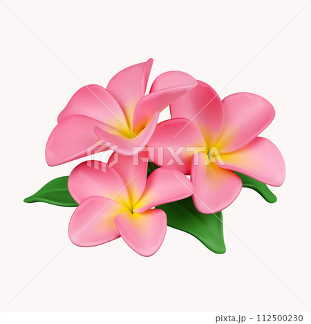3d frangipani flowers .icon isolated on white background. 3d rendering illustration. Clipping path. 3d frangipani flowers .icon isolated on white background. 3d rendering illustration. Clipping path. 112500230